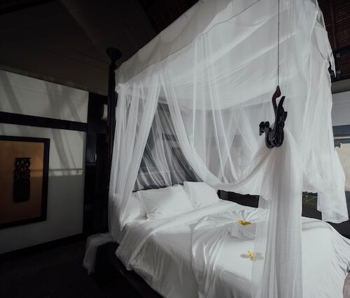 Mosquito Net